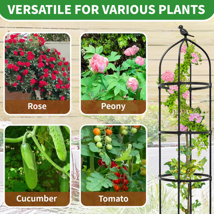 6.7FT Garden Obelisk Trellis for Climbing Plants,81”Metal Plant Support Tower,Heavy Duty Thickened Tube,Rustproof Black Vine & Flower Stand for Outdoor Indoor Use