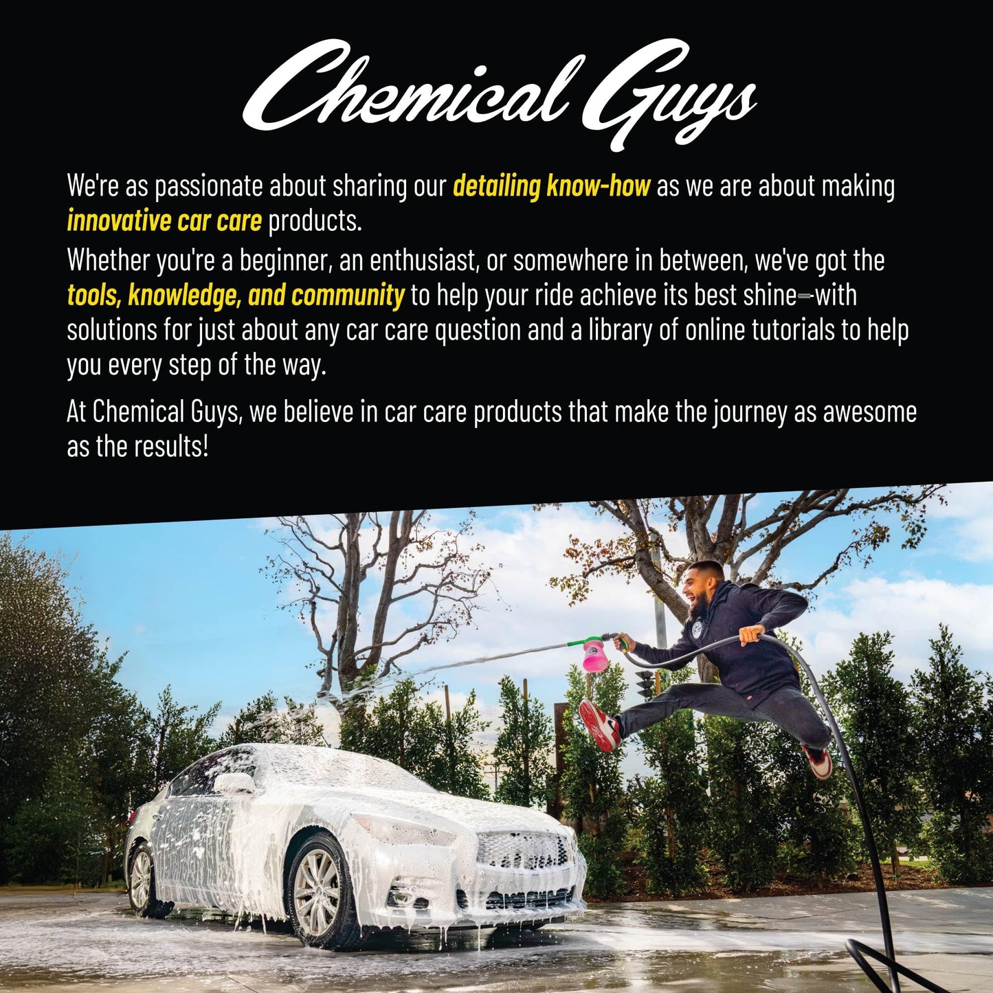 Chemical Guys All in The Details Interior Detailing Brush Set (Great for Cars, Trucks, SUVs, RVs, & More)