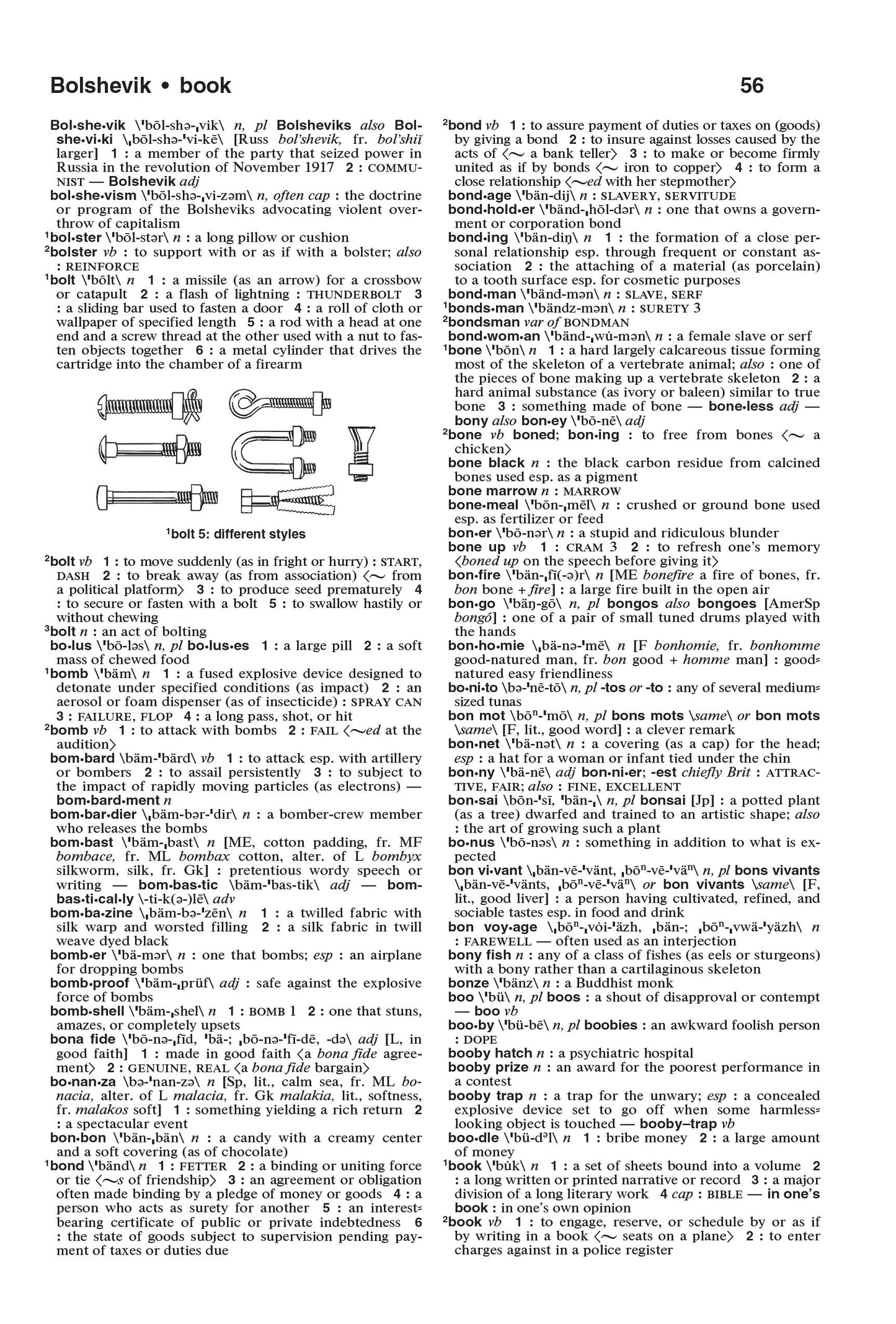 The Merriam-Webster Dictionary