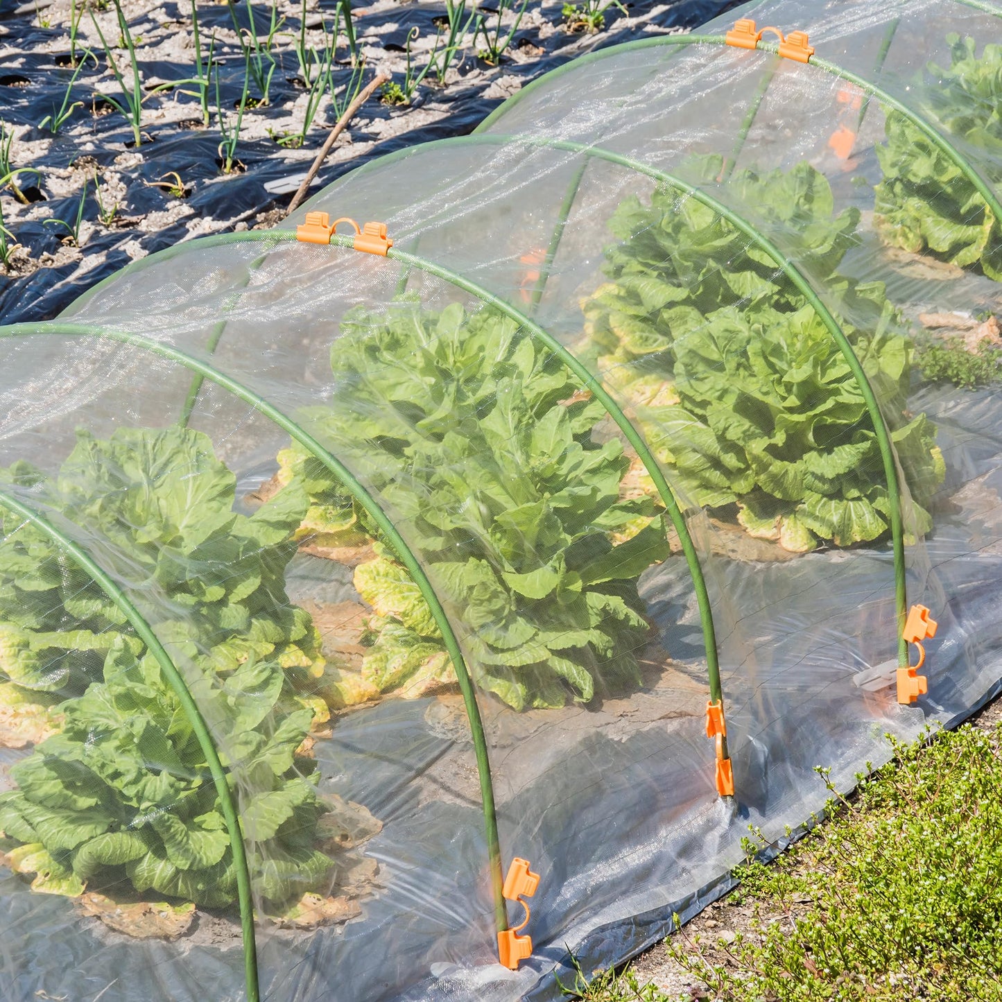 20x10 Feet Insect Bird Barrier Netting Mesh- Garden Bug Netting Plant Cover for Protect Vegetable Plant Fruits Flower from Insect Bird Eating