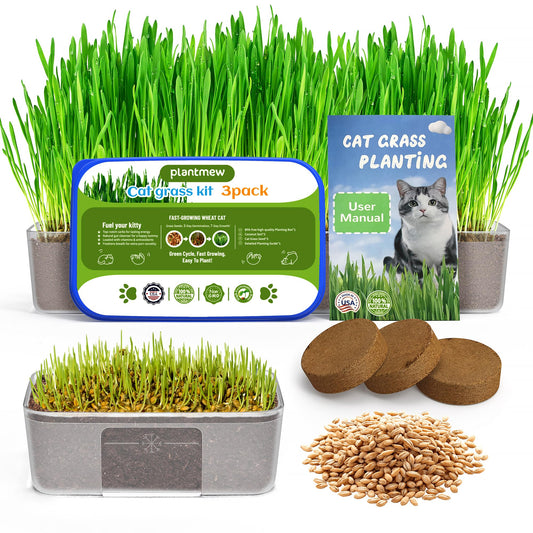 Cat Grass Kit for Indoor Cats - 3 Pack | Pet Wheat Grass Seeds, Grows in 7 Days | Digestive Health & Reduces Hairball | Gift for Cat Lovers with BPA-Free Planters, Soil & Cat Grass Seeds