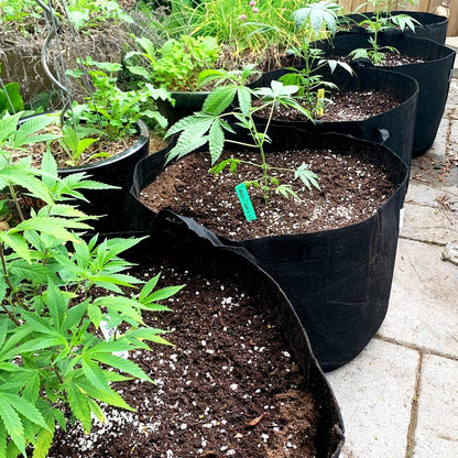 BOGI Grow Bags 12 Pack 3 Gallon Grow Bags Heavy Duty Thickened Nonwoven Grow Bag with Durable Habdles Fabric Pot for Vegetable Flower Potato Garlic Indoor Outdoor Plants + 12 Waterproof Plant Labels