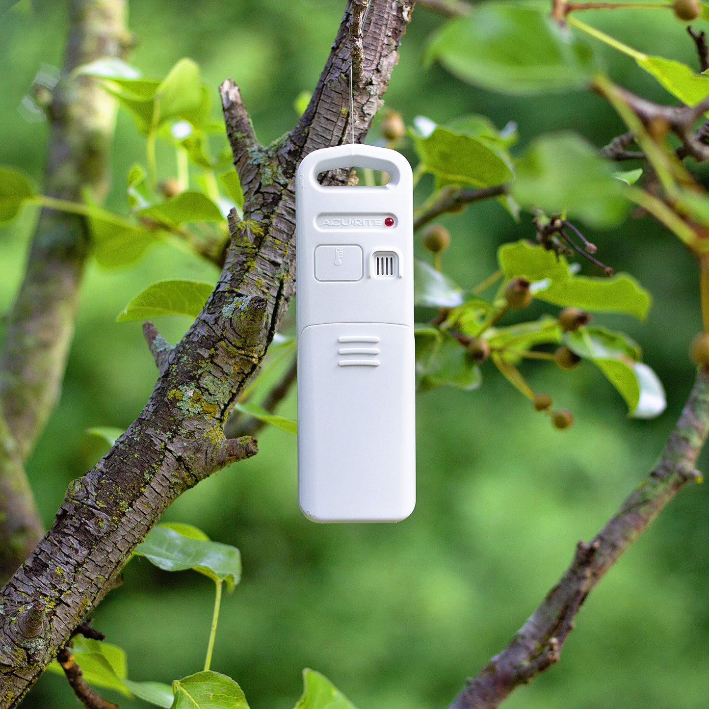AcuRite 06002RM Wireless Temperature and Humidity Sensor