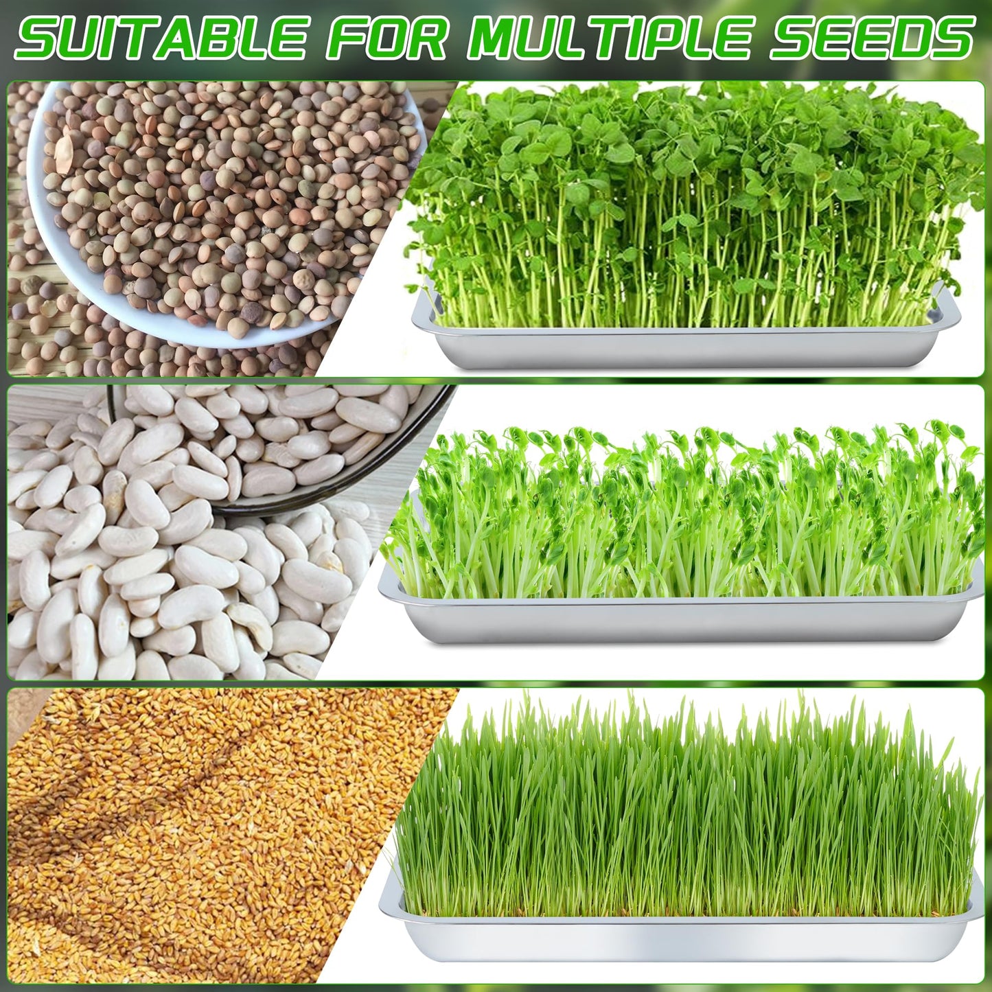 WBCBEC Stainless Steel Plant Trays, Multi-Purpose Tray for Indoor Outdoor Plants Stainless Steel Sprouting Trays Stainless Steel Seed Sprouting Kit Seed Sprouter Tray Seed Starting Trays (6PCS)