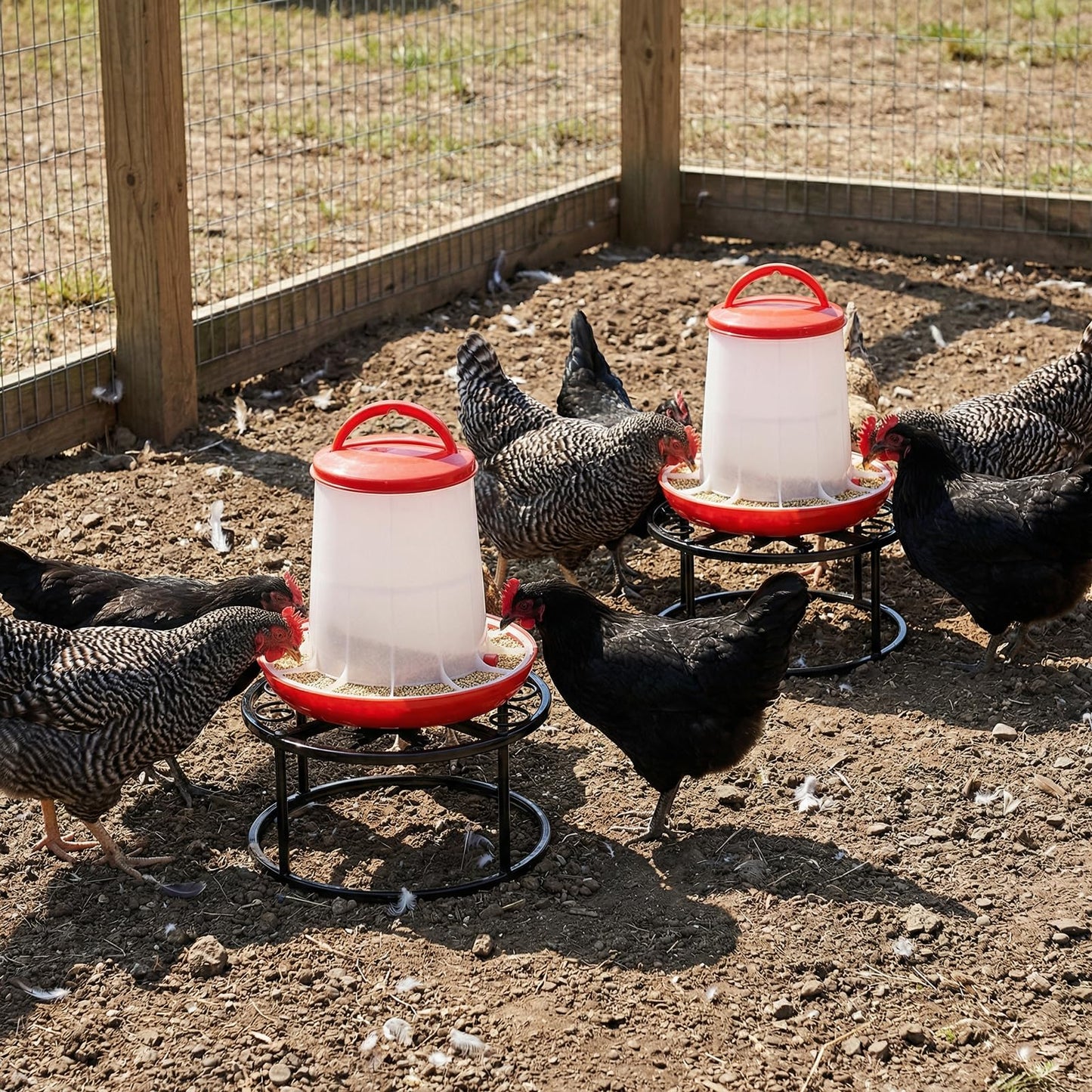 Cedilis 2 Pack Chicken Feeder Stand, Heavy Duty Iron Stand for Chicken Coop Poultry Feeder and Waterer Buckets Indoor Outdoor, Black