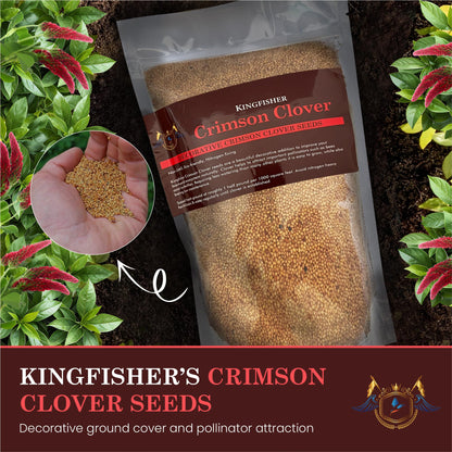 1 Pound Crimson Clover Seeds | Canadian Crimson Clover Seed | Natural Cover Crop | Deer Food Plots | Butterfly & Bee Food | Suitable For Raised Gardens or Planters | Cover Crop Seeds | Red Clover Seed