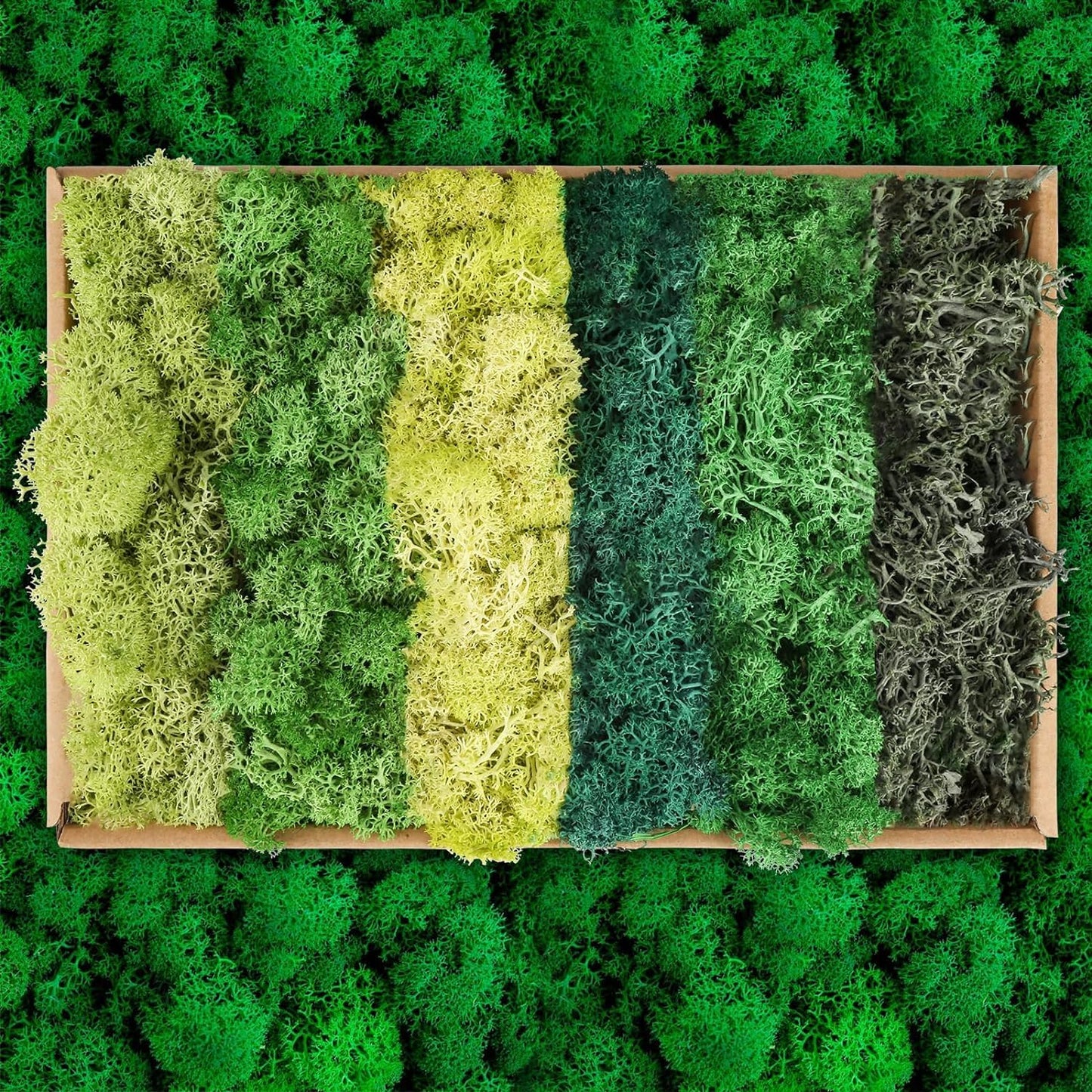 XIEJ Moss - Moss for Plants in 6 Colours, 240g Preserved Moss, Real Durable Natural Decorative Moss for Moss Picture Crafting/Decoration and Model Making Easter Decoration