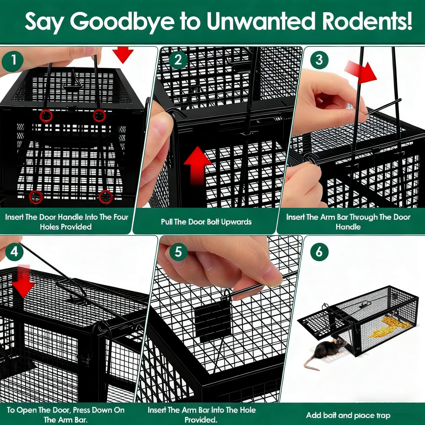 AGJIQ Humane Mouse Trap, Rat Trap Cage, Suitable for Indoor & Outdoor Use, Live Catch & Release Design for Mice, Chipmunks, Voles, Hamsters and Other Small Rodents(Black Single Unit)