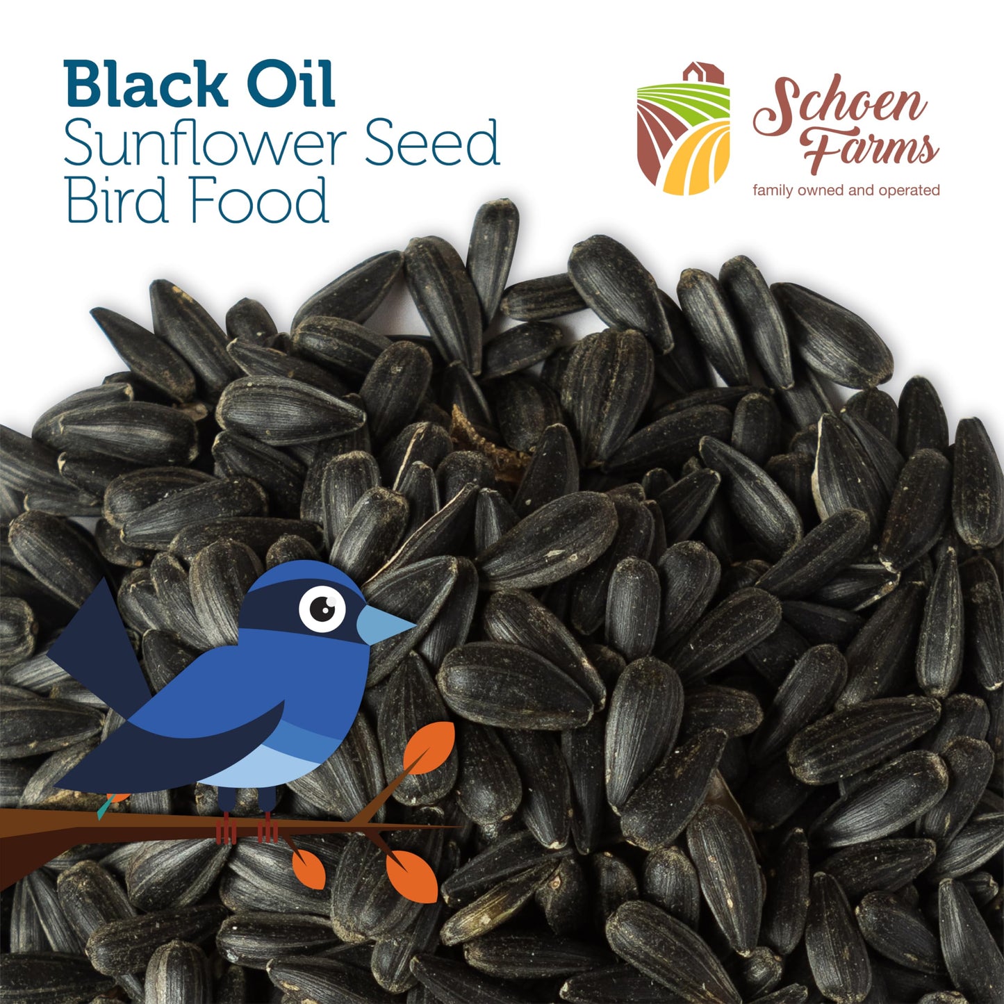 Schoen Farms Black Oil Sunflower Seeds for Birds (6 LBS)