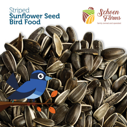 Schoen Farms Striped Sunflower Seeds for Birds, (5 Pound)