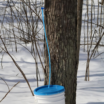 60 Ft Maple Syrup Tree Tapping Tubing Line- Maple Sap Vacuum Tubing- Syrup Collection Tubes Vacuum Line Hose for Maple Syrup Collection Supplies