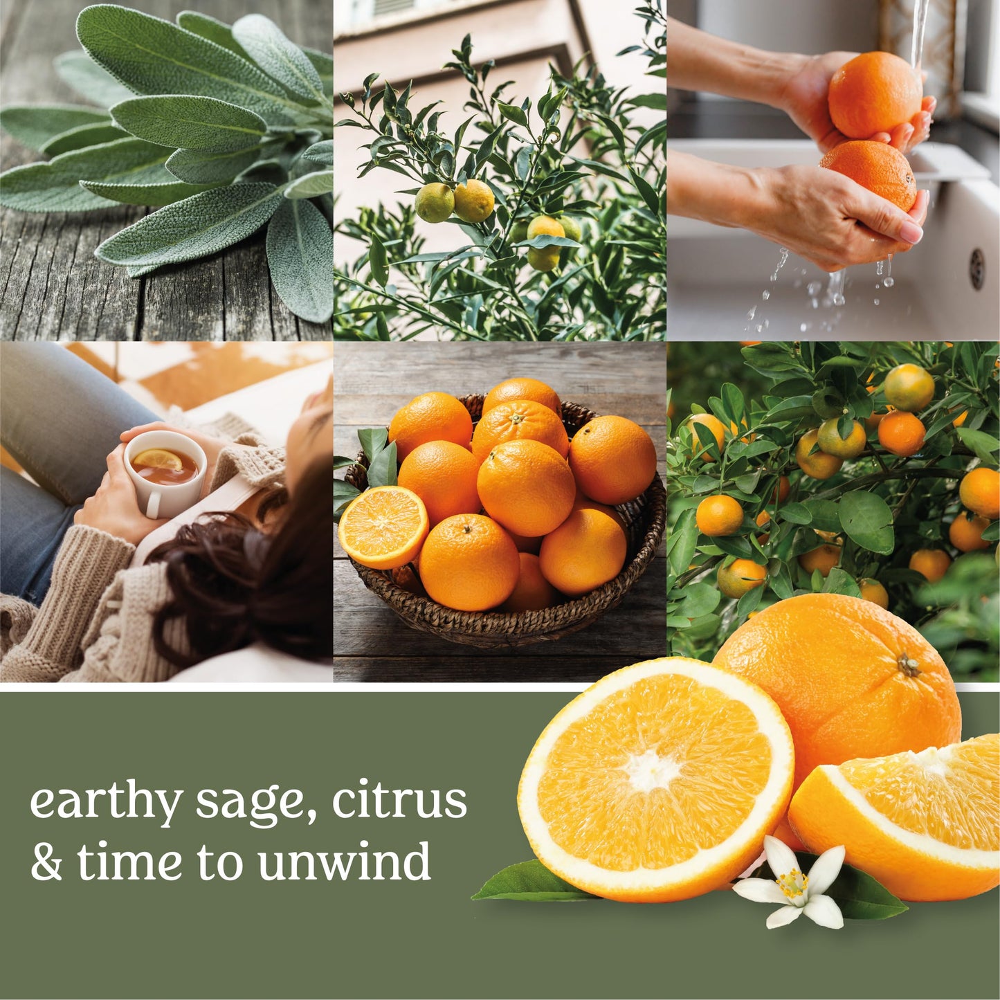 Yankee Candle Scented Candle, Sage & Citrus, Original Large Jar Candle, 110-150 Hours of Burn Time, 22 oz.