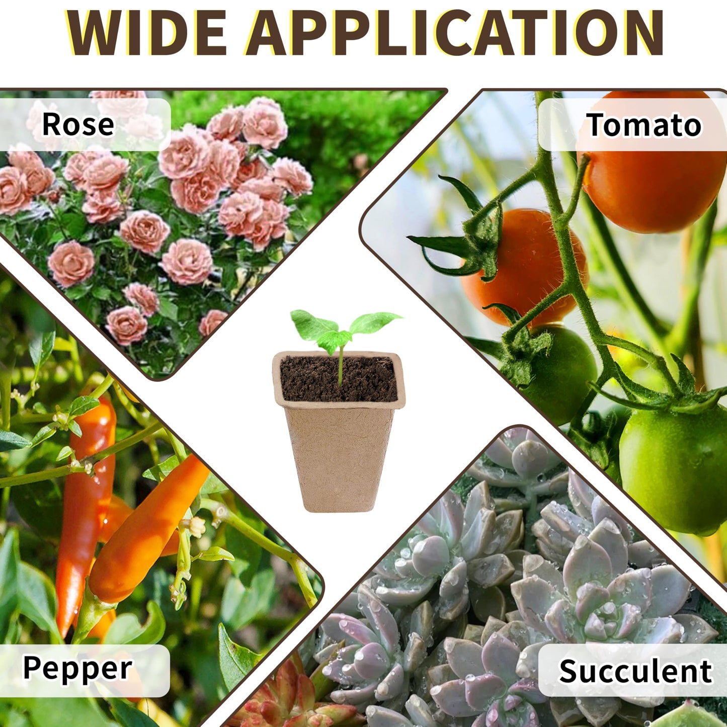 SORANGEUN Biodegradable Seed Starter Trays Kit – 20 Pack with 200 Labels, Transplant Tool & Spray Bottle, 1.8" Square Peat Pots for Seedlings, Vegetables, Herbs – Eco-Friendly Planting Set