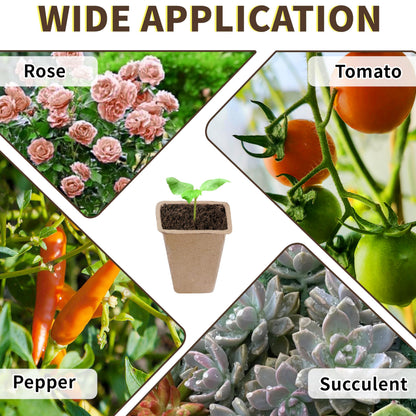 SORANGEUN Biodegradable Seed Starter Trays Kit – 20 Pack with 200 Labels, Transplant Tool & Spray Bottle, 1.8" Square Peat Pots for Seedlings, Vegetables, Herbs – Eco-Friendly Planting Set