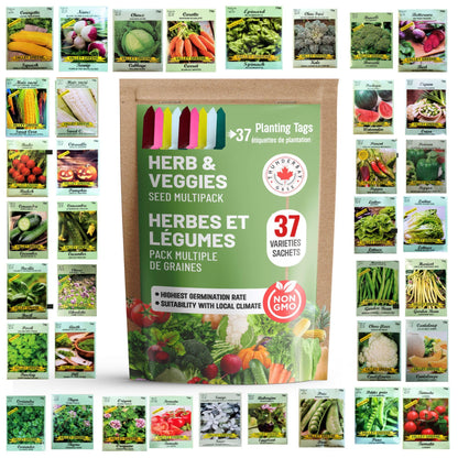 THUNDERBAY-GBSE Vegetable & Herb Seed Variety Pack of 37 Heirloom Sachets Approx. 5200 Seeds(100% Non GMO,37 Individually Packed Sachets, 37 Planting Tags) 37 sachets d'herbes et de légumes