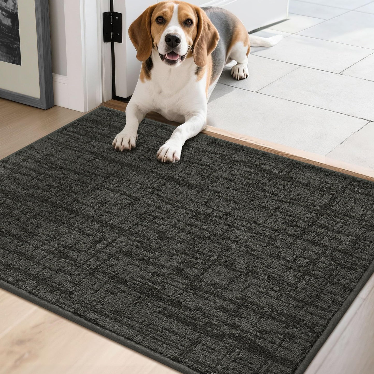 COSY HOMEER Non-Slip Doormat, 20" x 32" Doormats Entryway Rug Absorbent Dirt Trapper Door Mat for Indoor Entrance, Front Back Indoor Door Mats, Grey