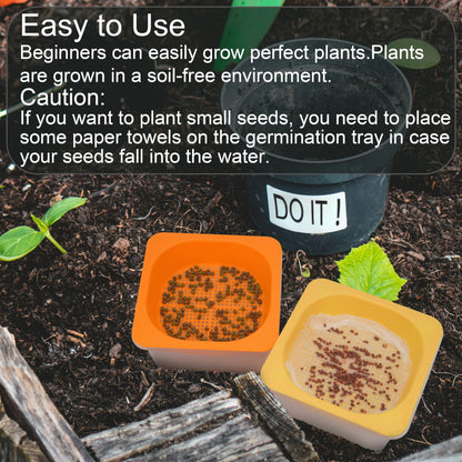 6 Pcs Microgreen Growing Tray with Lid, Sprouting Tray with Humidity Dome, Reusable BPA Free Seed Sprouter Kit for Growing Broccoli, Bean Sprouts, Cat Grass, Wheat Grass & More- Clear Base