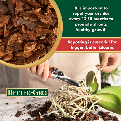 Sun Bulb Better GRO 4-Quart Orchid Bark