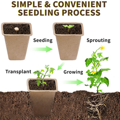 SORANGEUN Biodegradable Seed Starter Trays Kit – 20 Pack with 200 Labels, Transplant Tool & Spray Bottle, 1.8" Square Peat Pots for Seedlings, Vegetables, Herbs – Eco-Friendly Planting Set