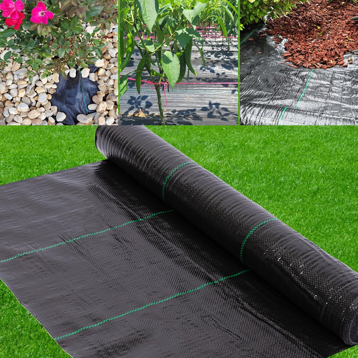 AGGAFA (2ft x 50ft) 100% Virgin Material Premium Heavy Duty Weed Barrier Fabric for Landscaping, Farming, Gardening and Agriculture. Durable Woven Landscape Fabric