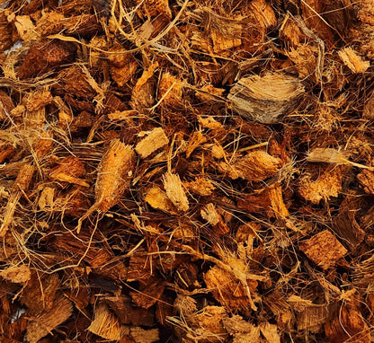 8 litres - Horticulture Coco Husk for Plants- Organic Loose Chunky Coco Chips and Fibers, A Fantastic Soil Amendment for Aroid/Tropical/Orchid/Indoor Plants Potting Mix. (8 litres)