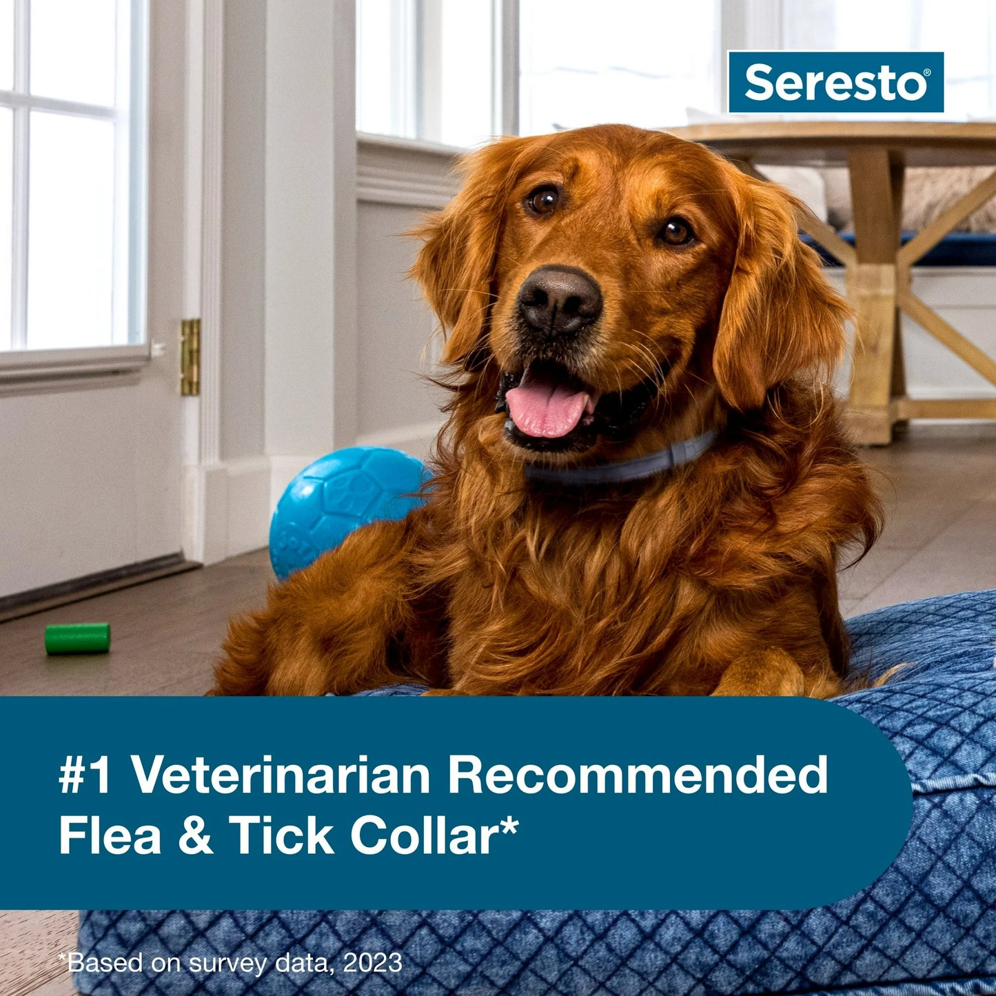Seresto™ 8-Month Flea & Tick Prevention Collar for Large Dogs (Over 18 lbs)
